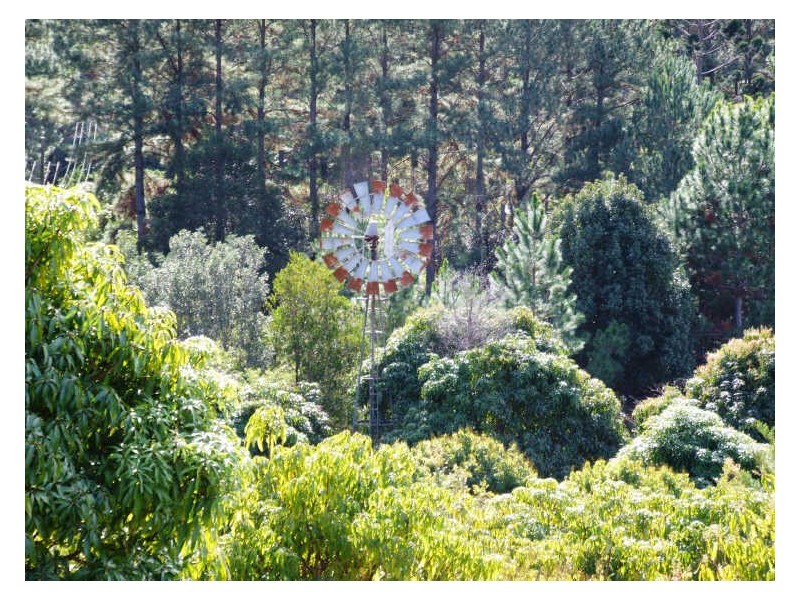 253 Palmvale Road, Palmvale NSW 2484