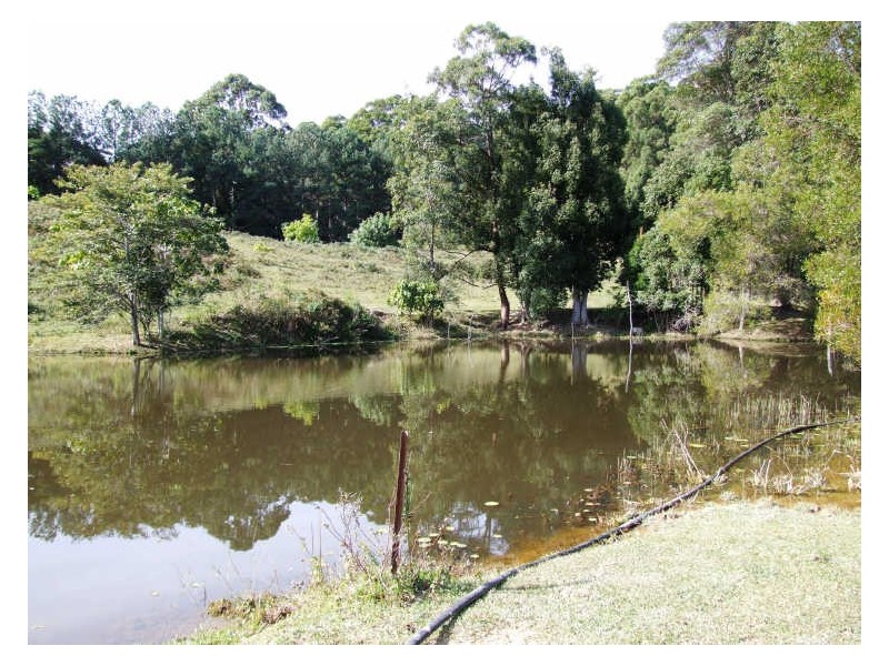 253 Palmvale Road, Palmvale NSW 2484