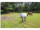 253 Palmvale Road, Palmvale NSW 2484