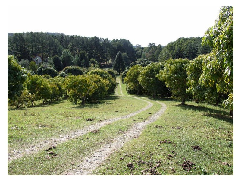 253 Palmvale Road, Palmvale NSW 2484