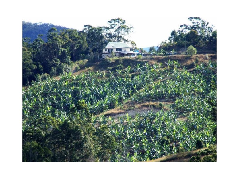 Murwillumbah NSW 2484