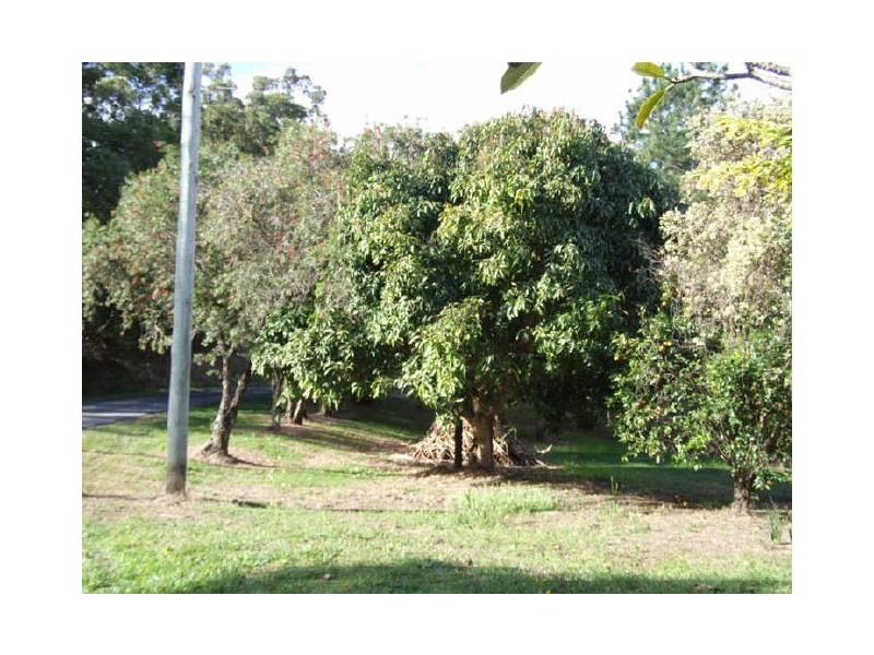 Murwillumbah NSW 2484