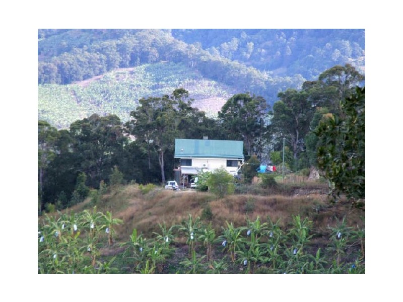 Murwillumbah NSW 2484