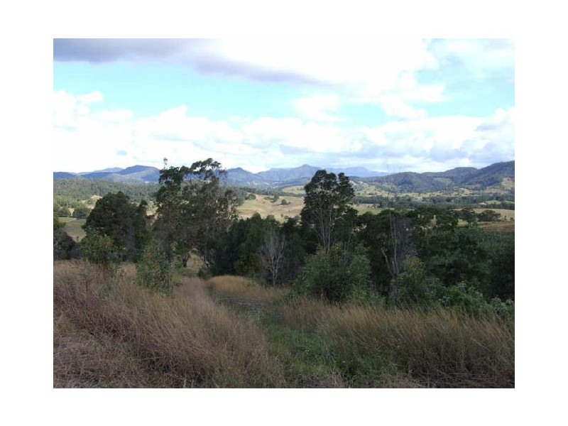 Murwillumbah NSW 2484