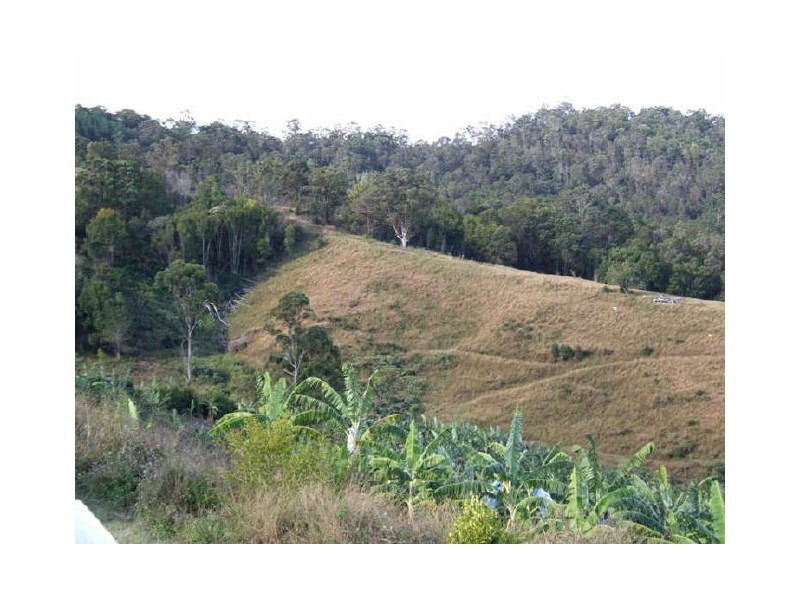 Murwillumbah NSW 2484