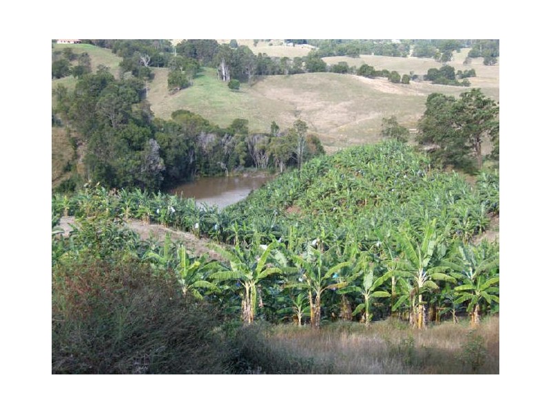 Murwillumbah NSW 2484