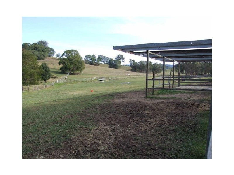 Murwillumbah NSW 2484