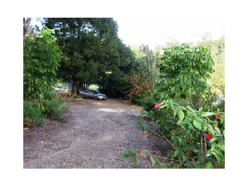 Murwillumbah NSW 2484