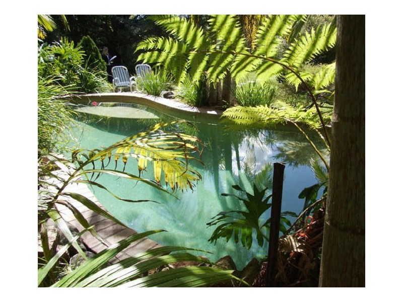 Murwillumbah NSW 2484