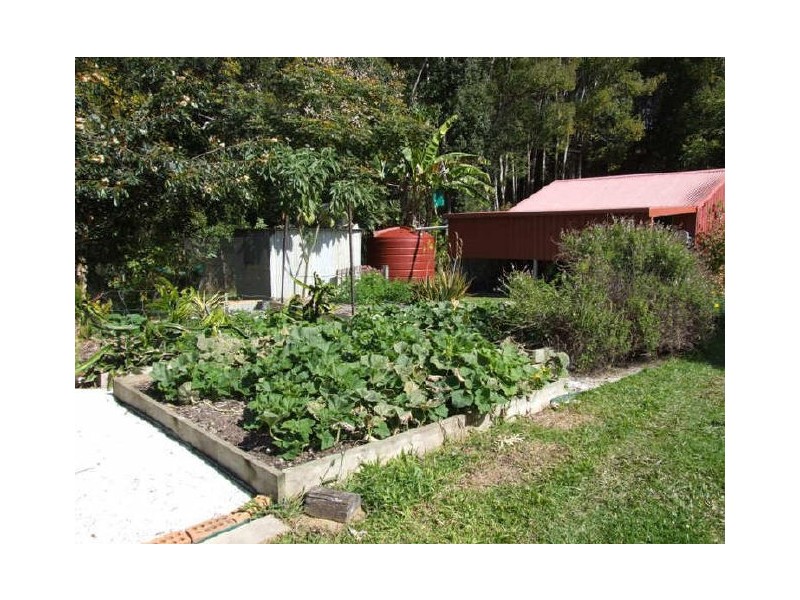 Murwillumbah NSW 2484