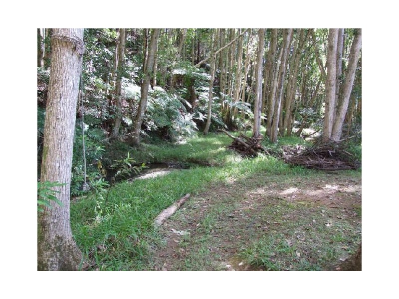 Murwillumbah NSW 2484