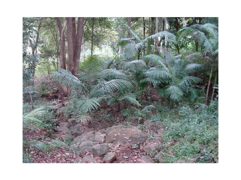 8 Rosemount Crescent, Terranora NSW 2486