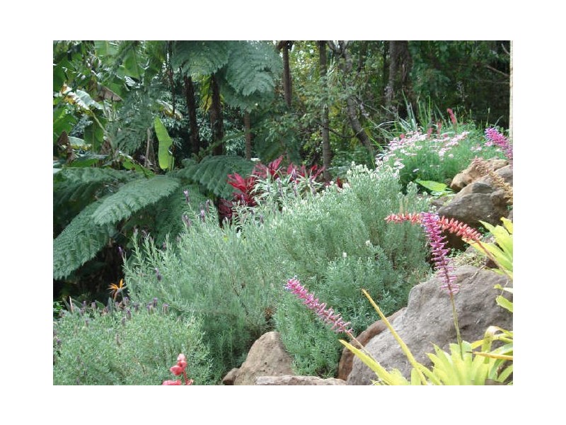 8 Rosemount Crescent, Terranora NSW 2486