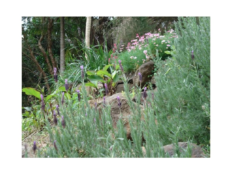 8 Rosemount Crescent, Terranora NSW 2486