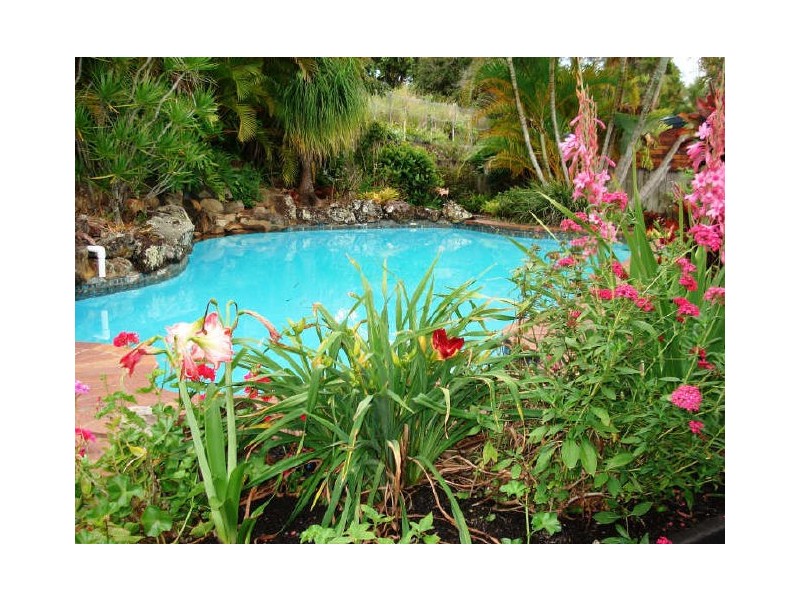 Murwillumbah NSW 2484