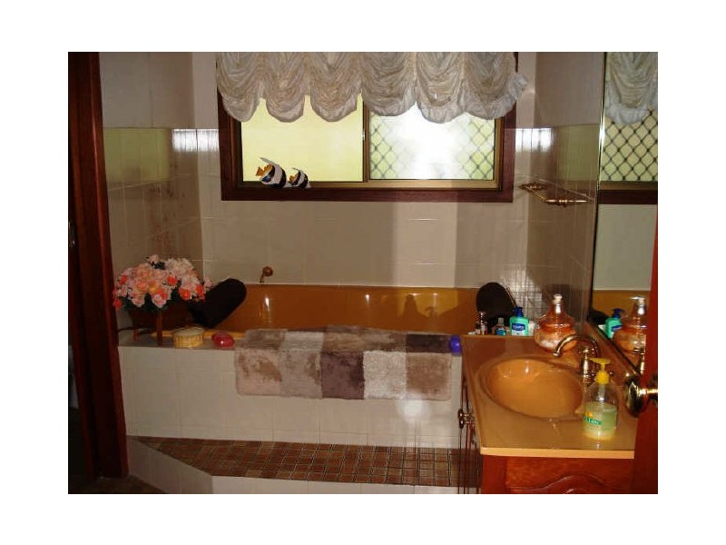 Murwillumbah NSW 2484