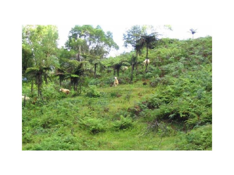 Murwillumbah NSW 2484