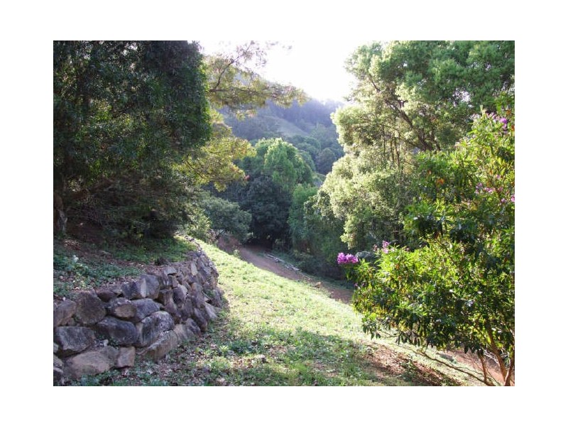 Murwillumbah NSW 2484