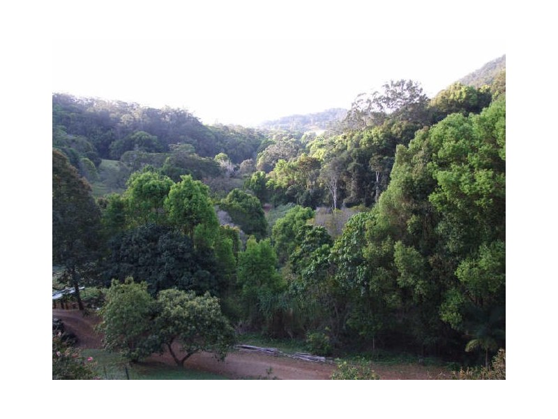 Murwillumbah NSW 2484