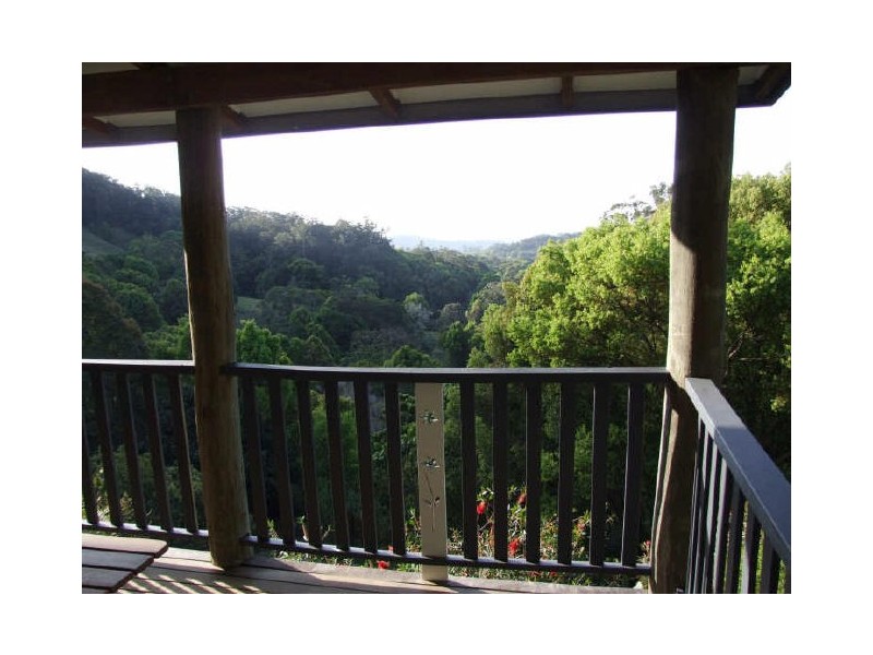 Murwillumbah NSW 2484