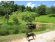 Murwillumbah NSW 2484