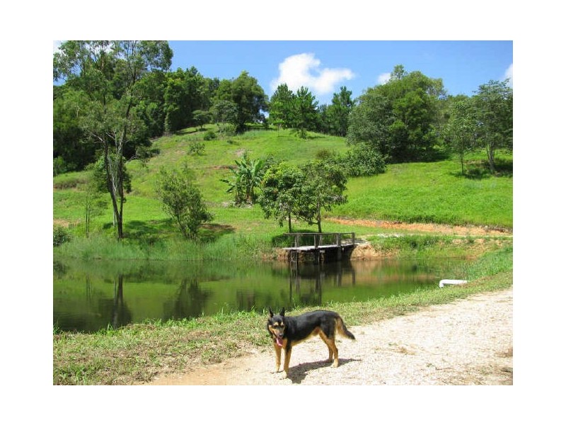 Murwillumbah NSW 2484