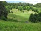 Murwillumbah NSW 2484
