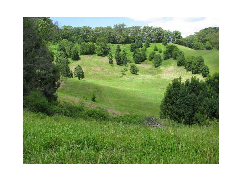 Murwillumbah NSW 2484