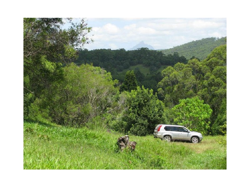Murwillumbah NSW 2484