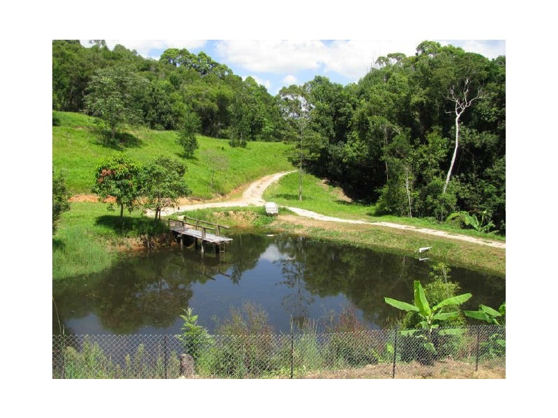 Murwillumbah NSW 2484