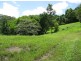 Murwillumbah NSW 2484