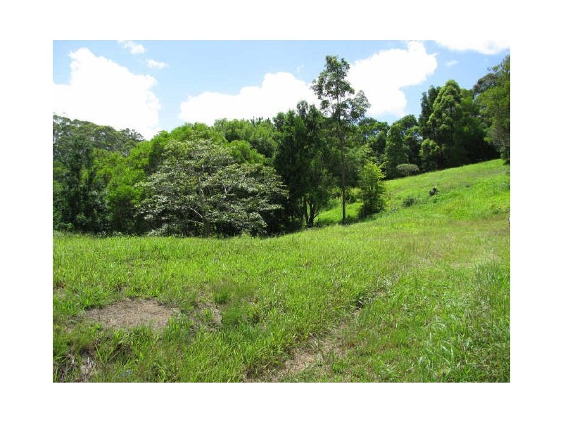 Murwillumbah NSW 2484
