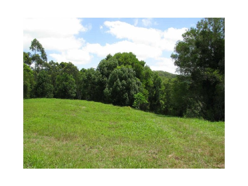 Murwillumbah NSW 2484