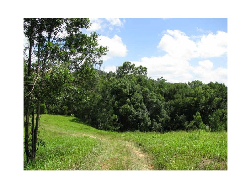 Murwillumbah NSW 2484
