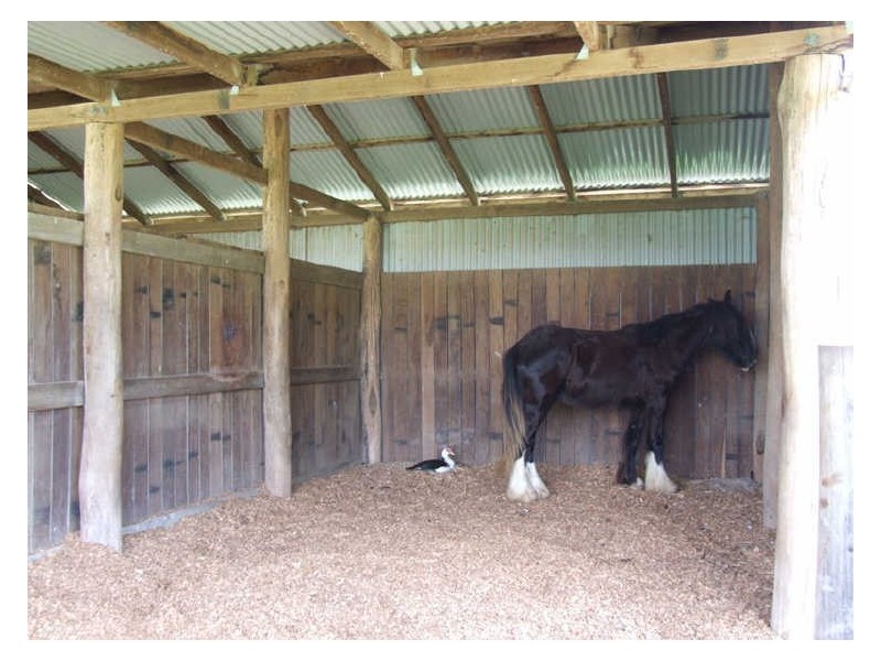 Lot 4 Birrigan Close, Nobbys Creek NSW 2484