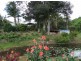 Murwillumbah NSW 2484