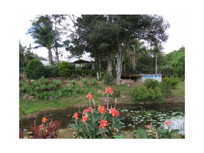 Murwillumbah NSW 2484