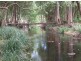 Murwillumbah NSW 2484