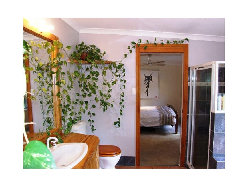 Murwillumbah NSW 2484