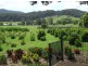 Murwillumbah NSW 2484