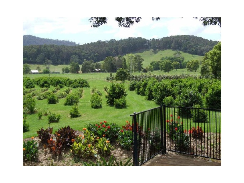 Murwillumbah NSW 2484