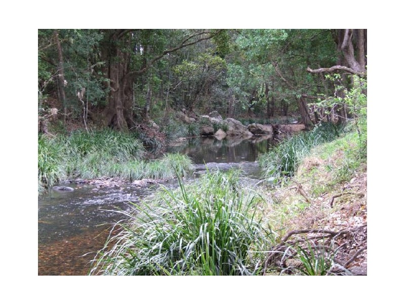 Murwillumbah NSW 2484