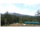 Murwillumbah NSW 2484