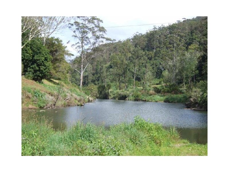 Murwillumbah NSW 2484