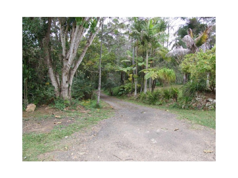 Murwillumbah NSW 2484