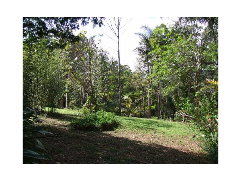 Murwillumbah NSW 2484