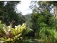 Murwillumbah NSW 2484