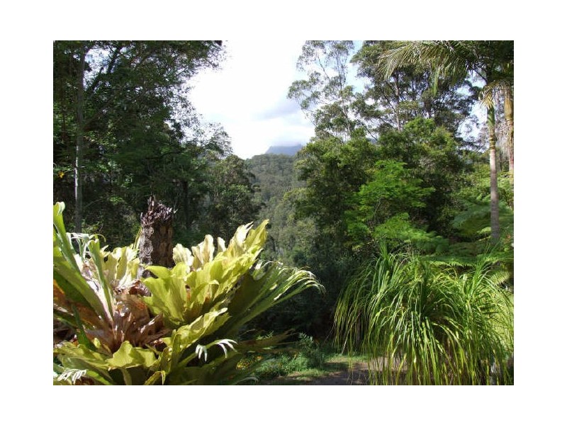 Murwillumbah NSW 2484