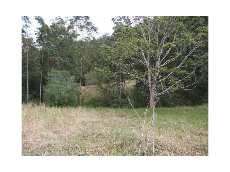 Murwillumbah NSW 2484