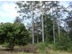 Murwillumbah NSW 2484
